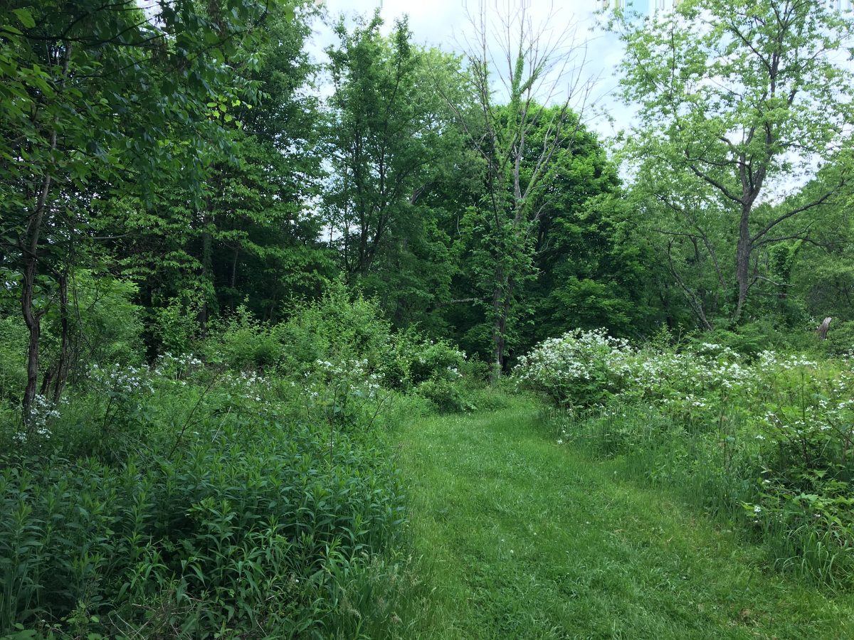 Top 10 Things to do in Latrobe Your Guide to Visiting Latrobe