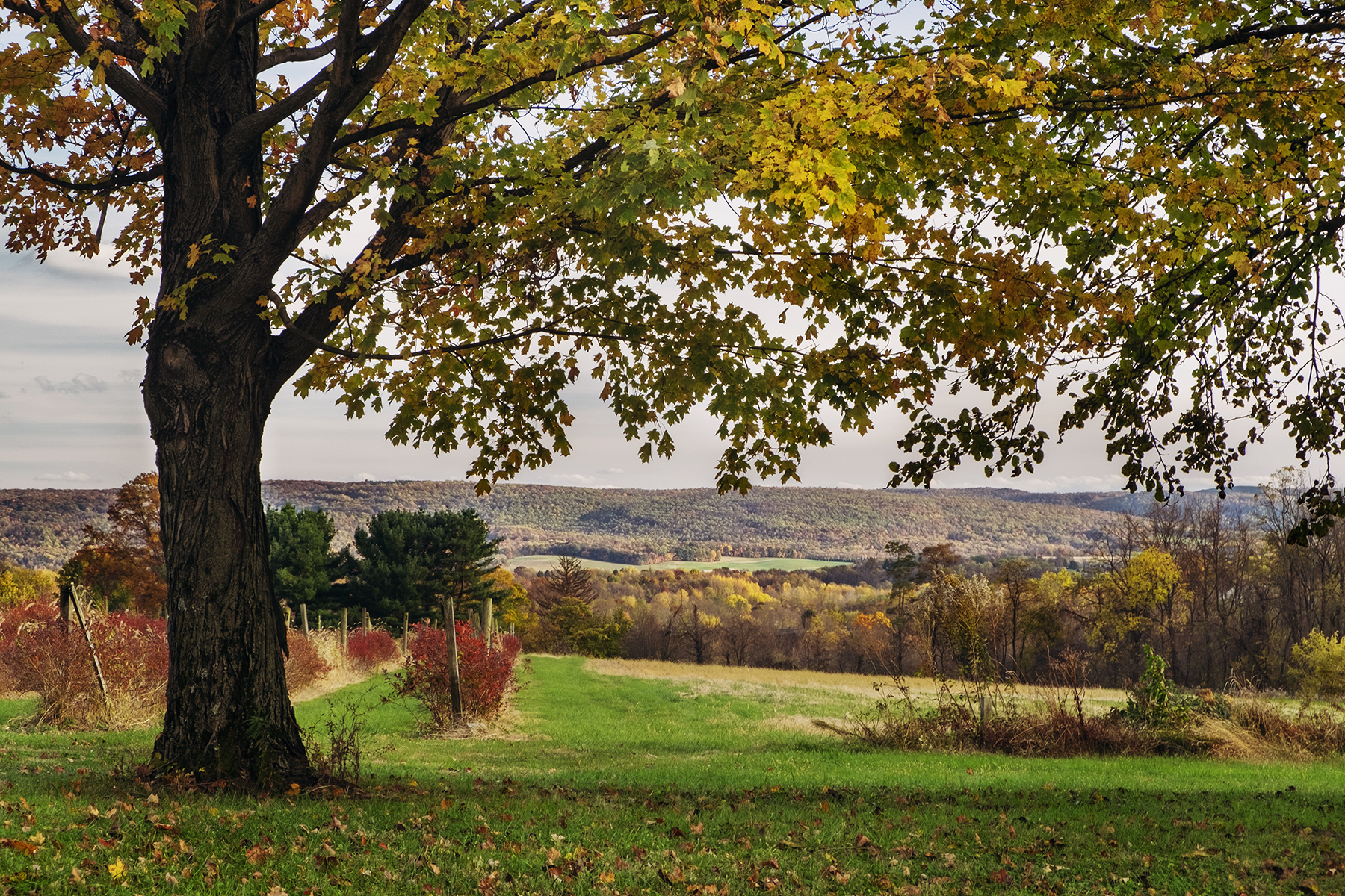 Charming Places to Visit and Things to Do during the Fall in Westmoreland County, PA