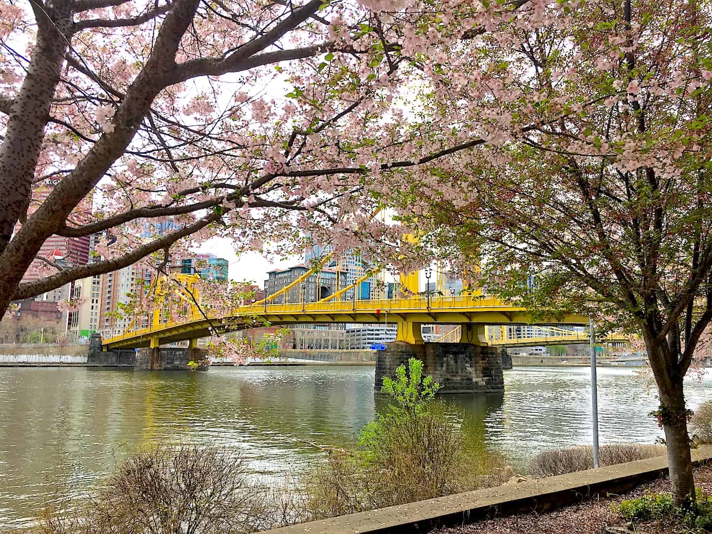 30 Fun And Free Things To Do In Pittsburgh This Weekend Everywhere 
