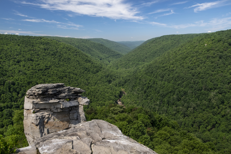 Best Things to do in Davis, West Virginia A ThreeDay Itinerary (2022)